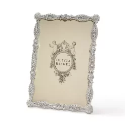 Top 10 ✔️ Olivia Riegel Asbury Silver-Tone Frame ⌛