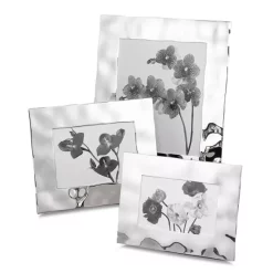 Promo 🤩 Michael Aram Reflective Frame Silver ❤️