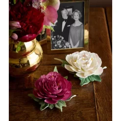 New 🎉 AERIN Martin Frame 😉