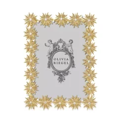 Cheapest 😀 Olivia Riegel Electra Frame, 5" X 7" Gold 😉 -Outlet Frame Store unnamed file 1647