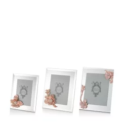 New 🌟 Olivia Riegel Botanica Frame Rose 😀 -Outlet Frame Store unnamed file 499