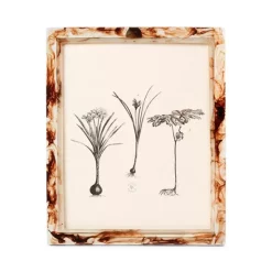 Top 10 🌟 Pigeon & Poodle Lund Frame Collection Amber Smoke 🤩 -Outlet Frame Store unnamed file 767