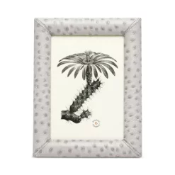 Wholesale 🌟 Pigeon & Poodle Witney Frame Collection Light Gray Ostrich 🌟 -Outlet Frame Store unnamed file 890