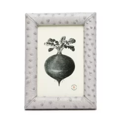 Wholesale 🌟 Pigeon & Poodle Witney Frame Collection Light Gray Ostrich 🌟 -Outlet Frame Store unnamed file 893